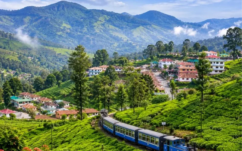 Bangalore Mysore Coorg Ooty Coonoor 6 Nights 7 Days bus tour package featuring Mysore Palace, Coorg coffee plantations, Ooty Lake, Coonoor tea gardens and scenic hill stations.