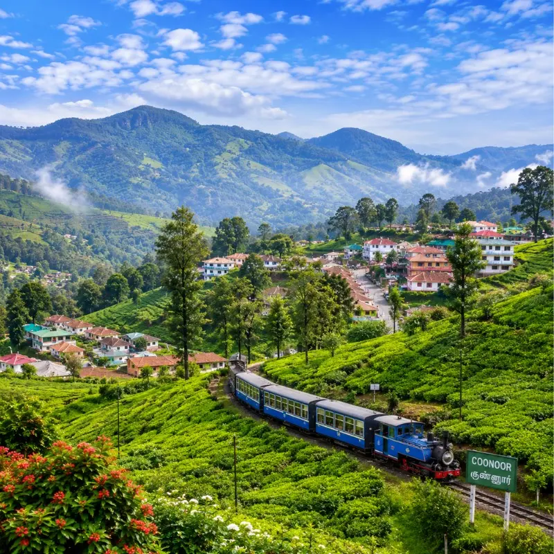 Bangalore Mysore Coorg Ooty Coonoor 6 Nights 7 Days bus tour package featuring Mysore Palace, Coorg coffee plantations, Ooty Lake, Coonoor tea gardens and scenic hill stations.