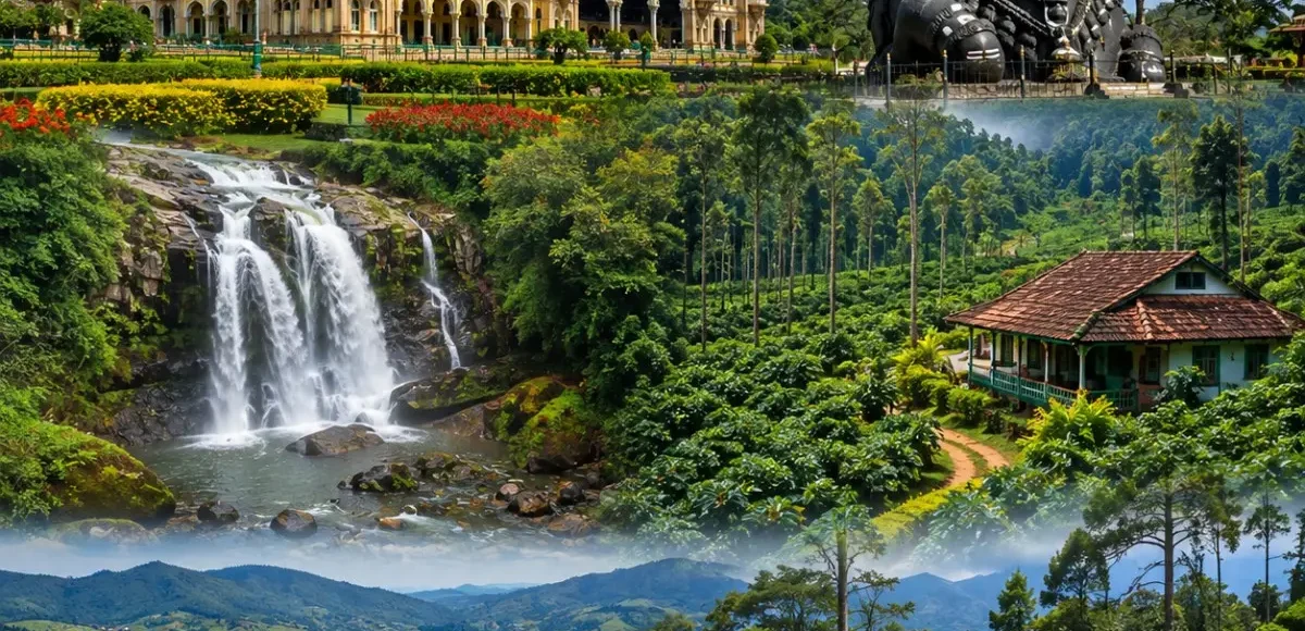 Mysuru, Coorg & Ooty Tour Package featuring Mysore Palace, Coorg coffee plantations, Abbey Falls and Ooty tea gardens
