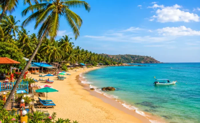Beautiful Goa beach with golden sand, blue Arabian Sea, coconut palms and peaceful clear morning tropical views.
