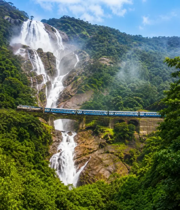 Dudhsagar Falls in Goa with powerful white cascades, lush Western Ghats forest and clear morning daylight.