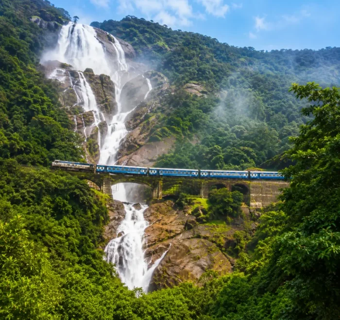 Dudhsagar Falls in Goa with powerful white cascades, lush Western Ghats forest and clear morning daylight.