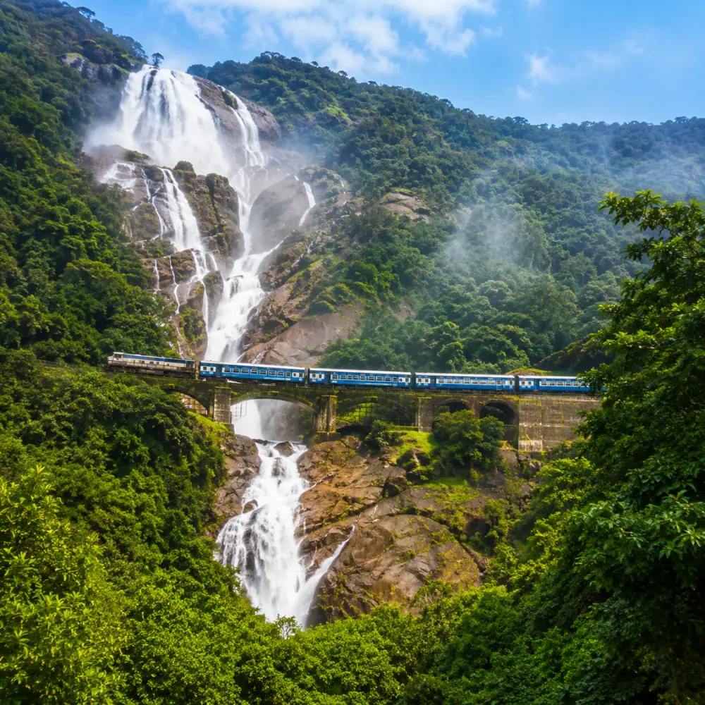 Dudhsagar Falls in Goa with powerful white cascades, lush Western Ghats forest and clear morning daylight.