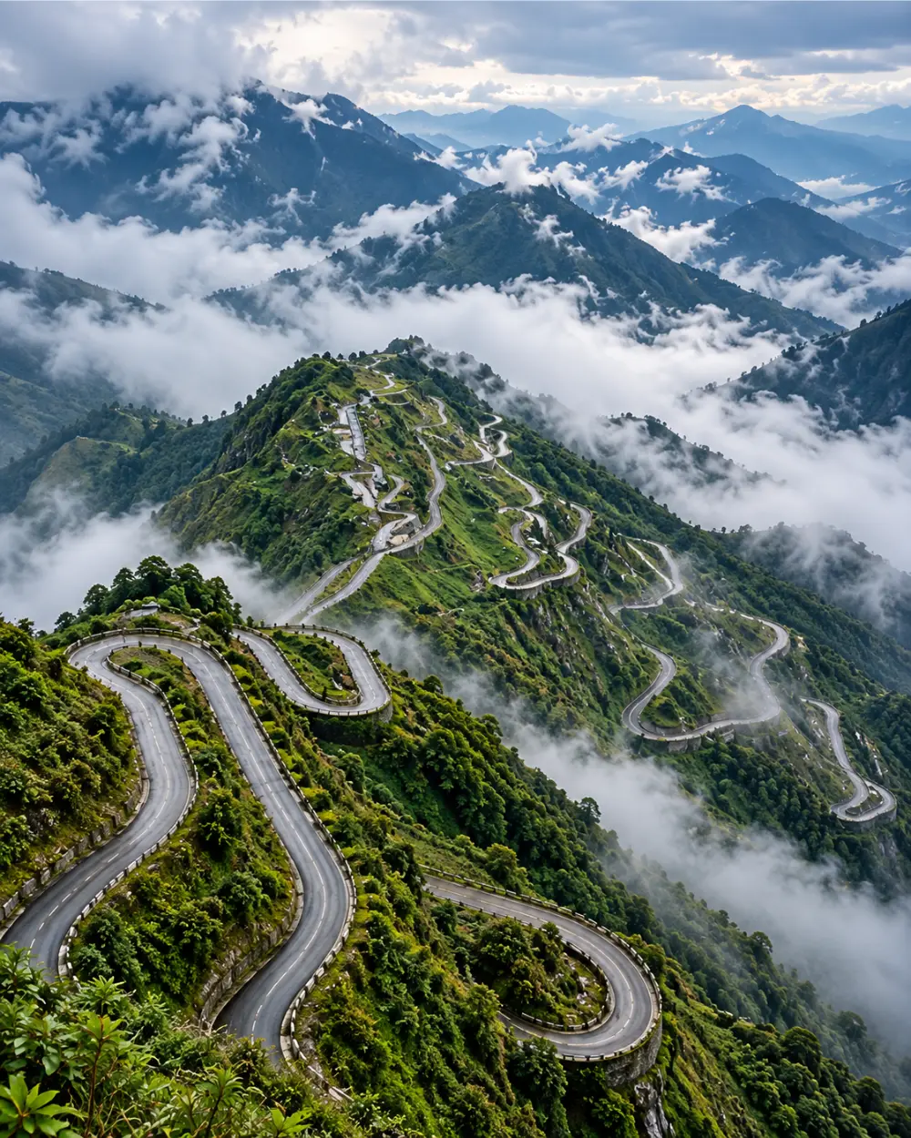 North East India lush green hills