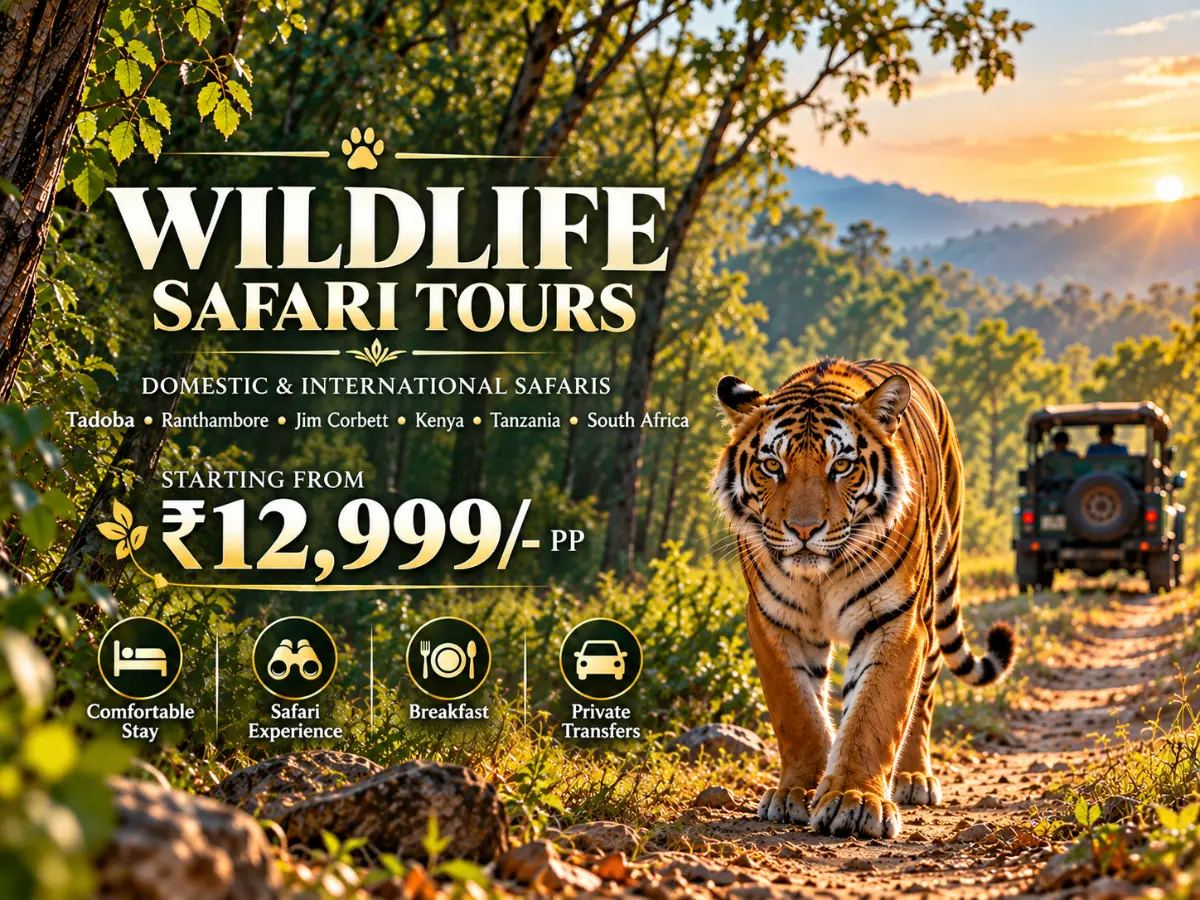 Wildlife Safari
