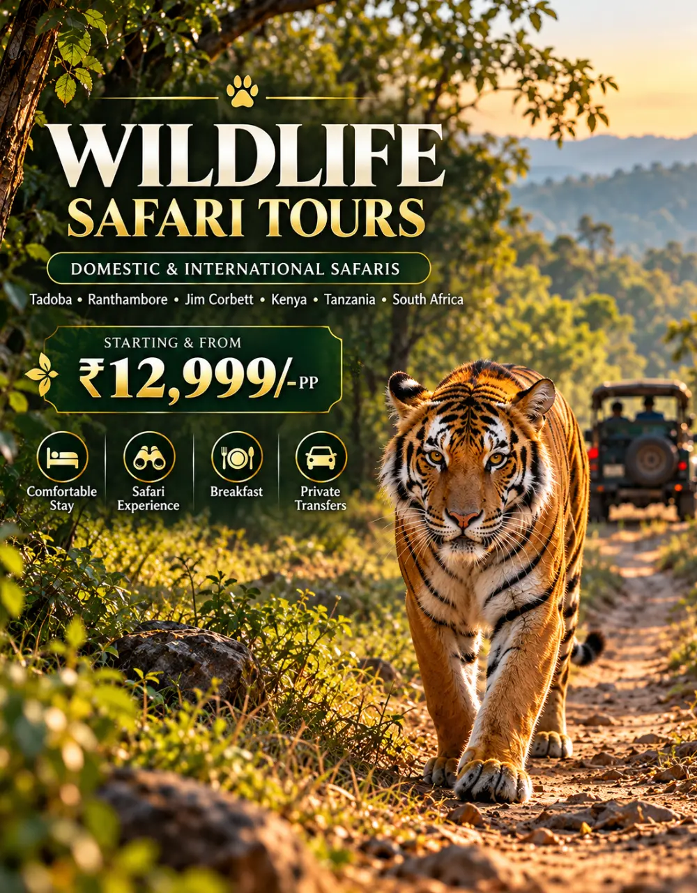 Wildlife Safari