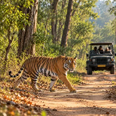 Wildlife Safari - Into the wild